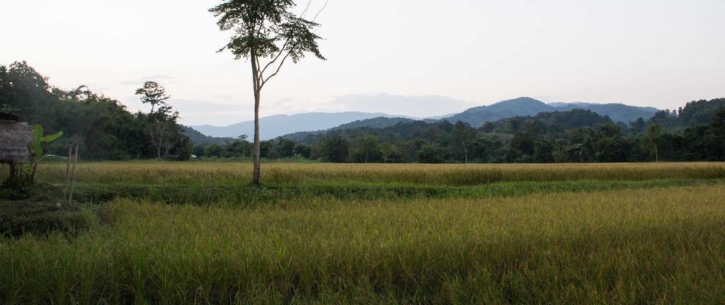 Bambuh Boutique Homestay Chiang Rai Exterior photo