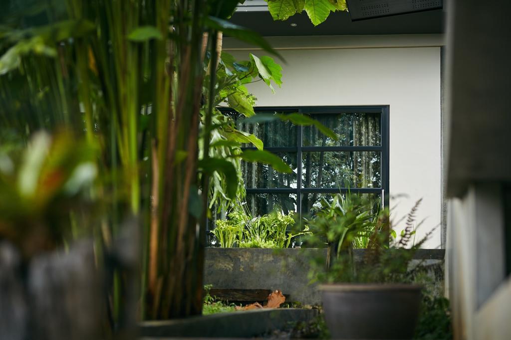 Bambuh Boutique Homestay Chiang Rai Exterior photo